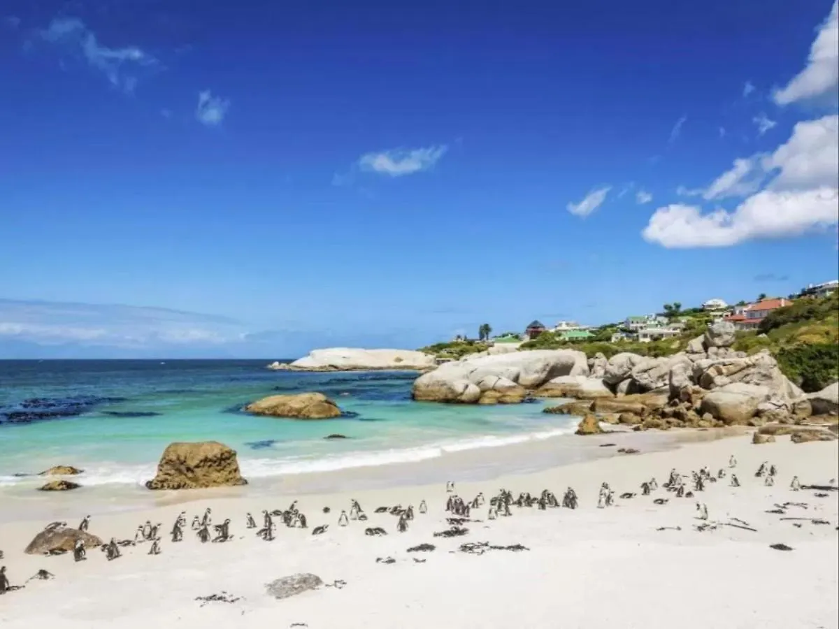 Boulders Beach Villa Simonʼs Town